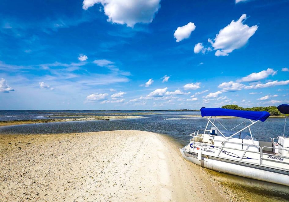Sandbar to Gulf-edit