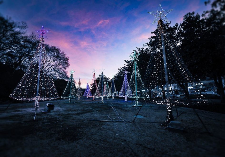 Xmas lights at Arlington Park
