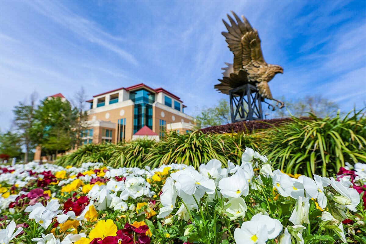 ULM building with feild of flowers in front and an eagle statue in the garden