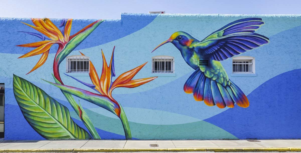 Hummingbird mural_edit