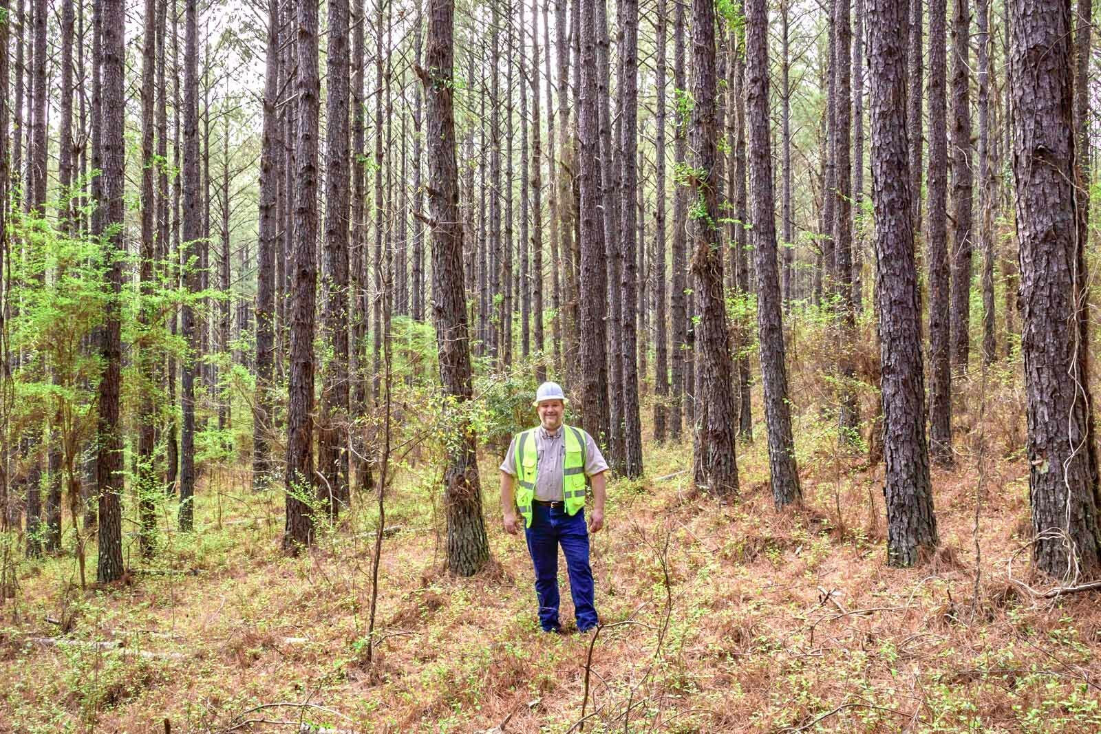 man standing in avast field of trees