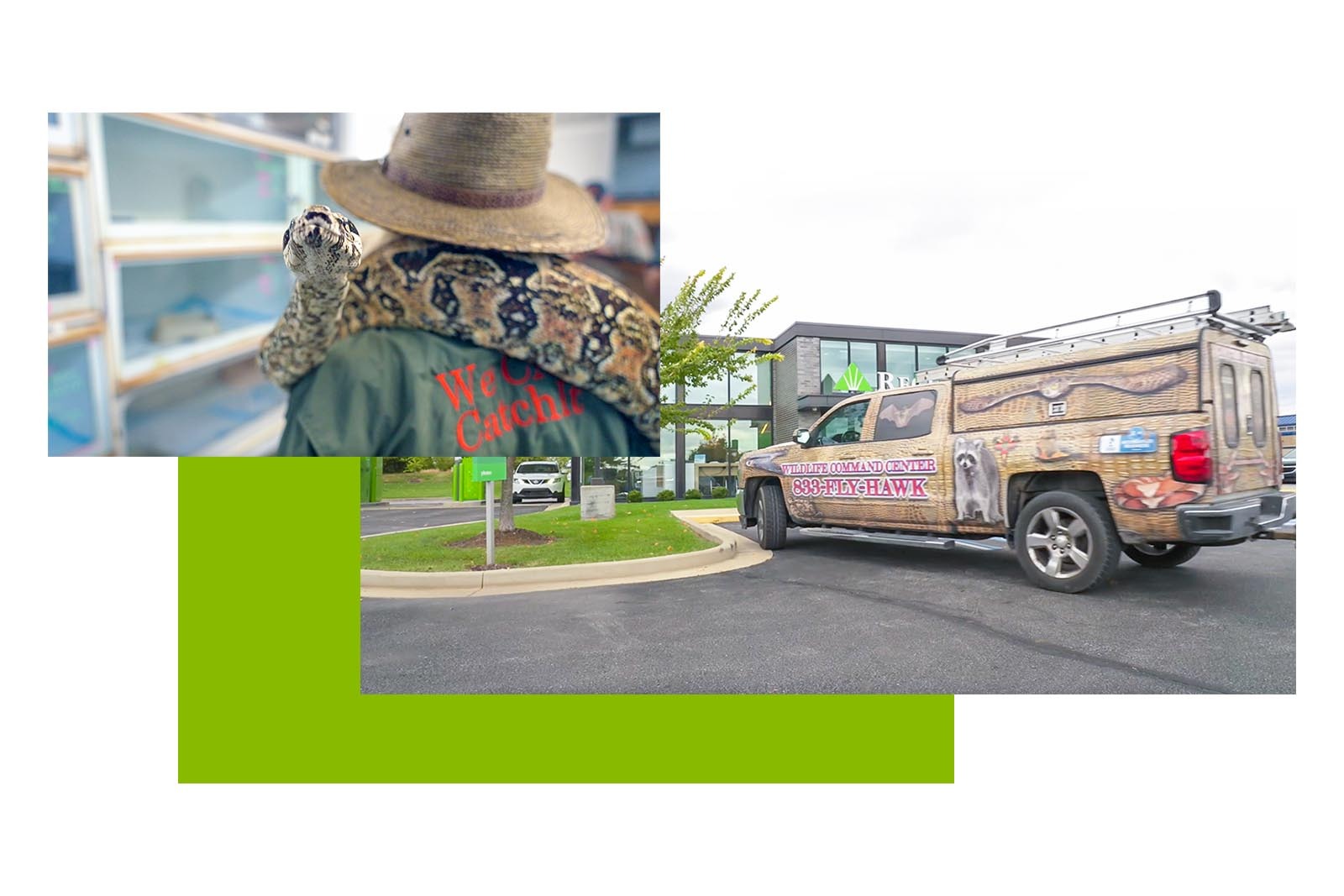 Wildlife command center branding wrapped truck and a man facing away from the camera with a python on his shoulders.