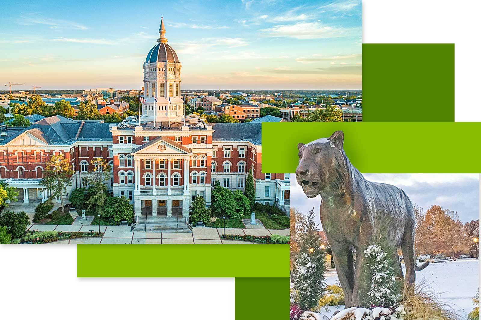 photo of Missouri University campus and tiger mascot statue