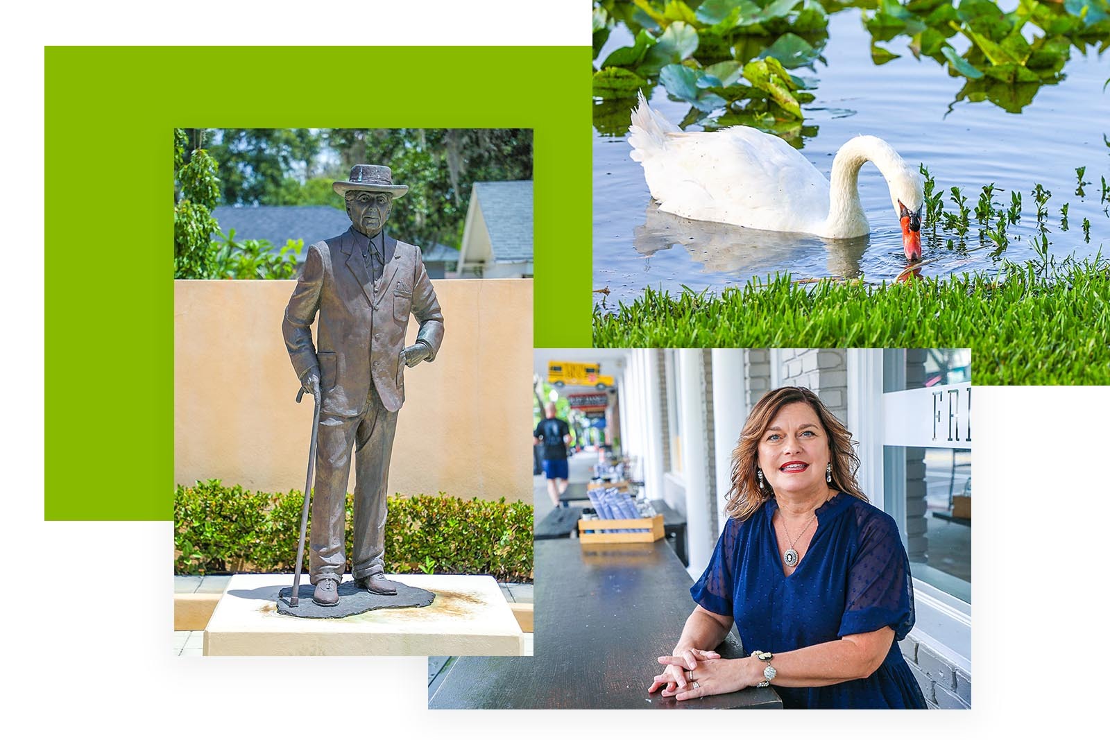 three photos from Lakeland, Florida. A statue, a swan and...