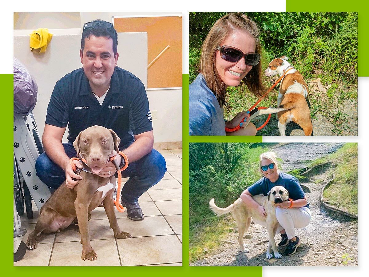 Collage of photos showing Regions associates with dogs as they volunteer at the Greater Birmingham Humane Society