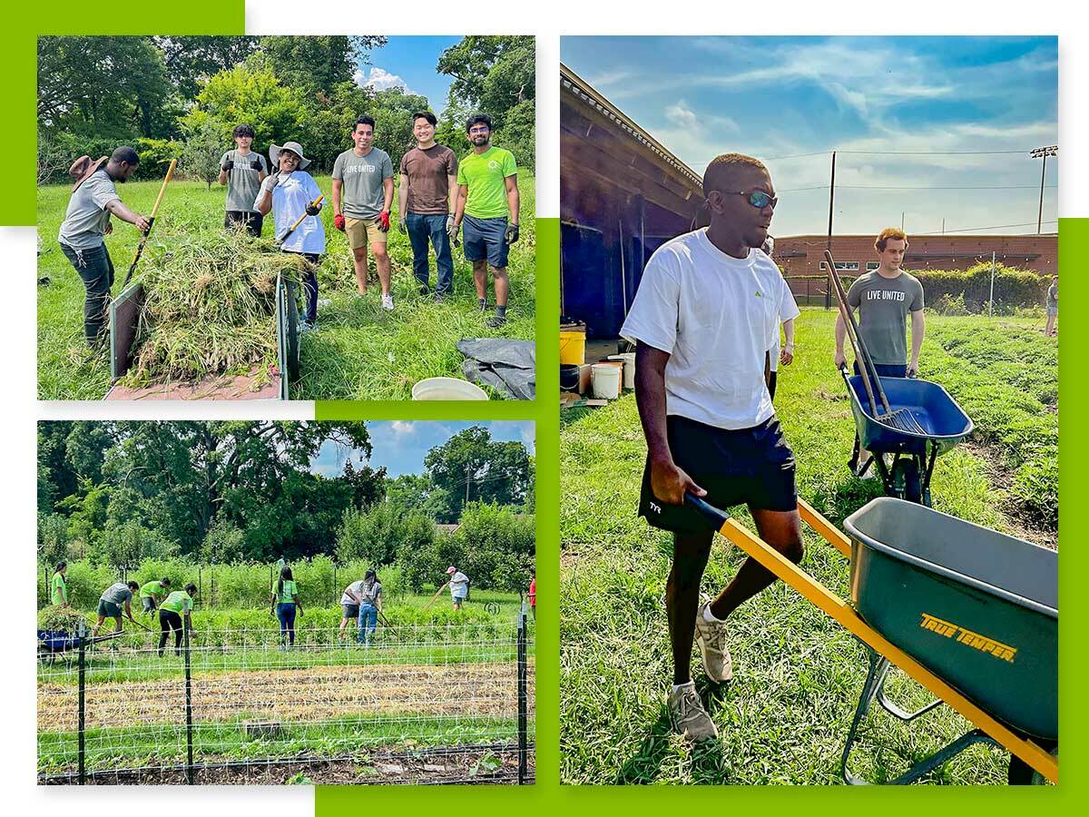 Collage of three photos showing Regions volunteers working at Woodlawn High School with Jones Valley Teaching Farm