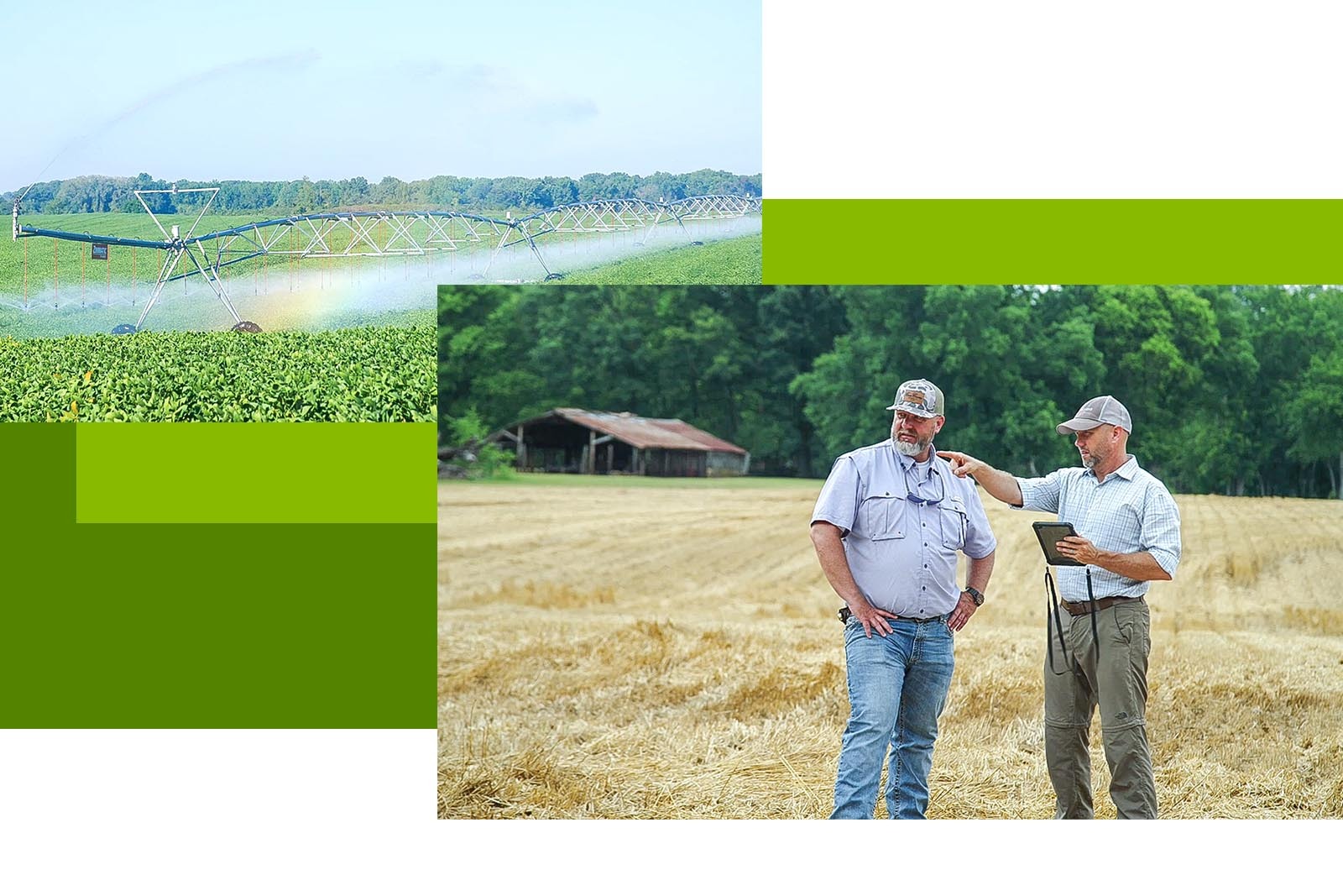 Collage - a field with a rolling irrigation system and two men talking in the field