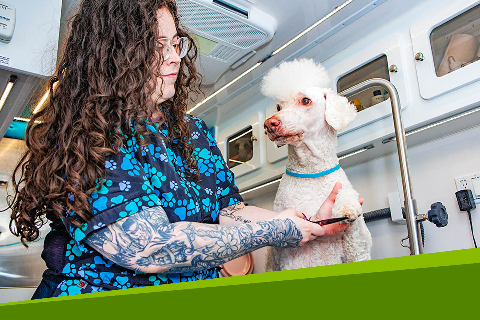 Owner of the mobile dog grooming business, Honey I’m Combed,...