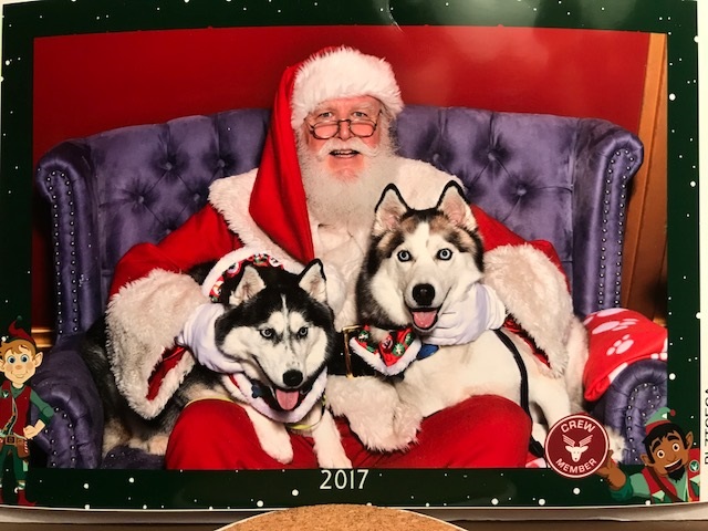 two dogs with Santa